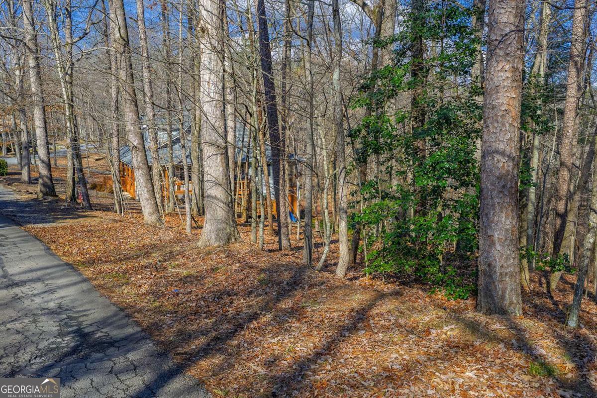 55 Spruce Drive Ellijay GA 30540