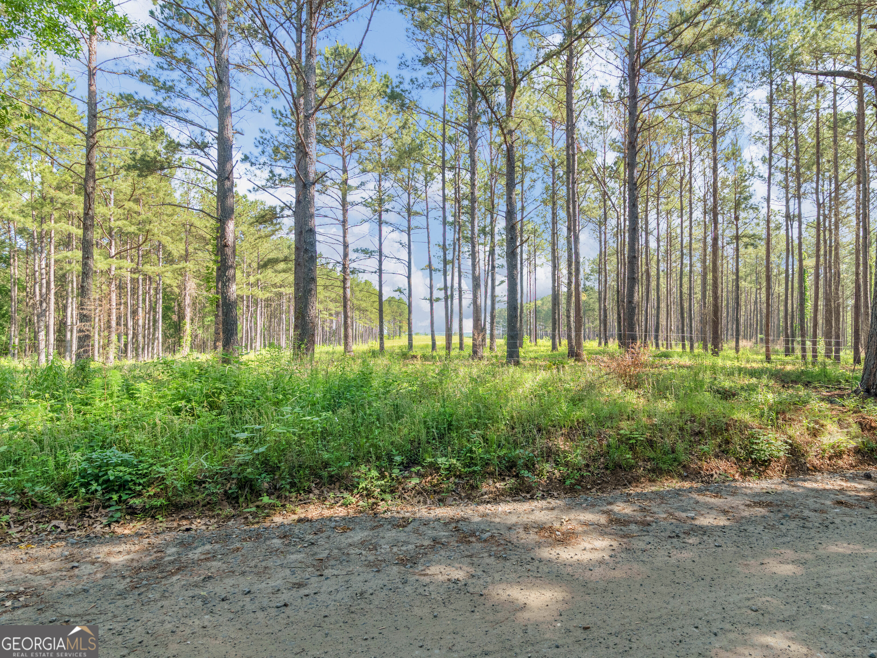 449 Mcmullen Road Forsyth GA 31029