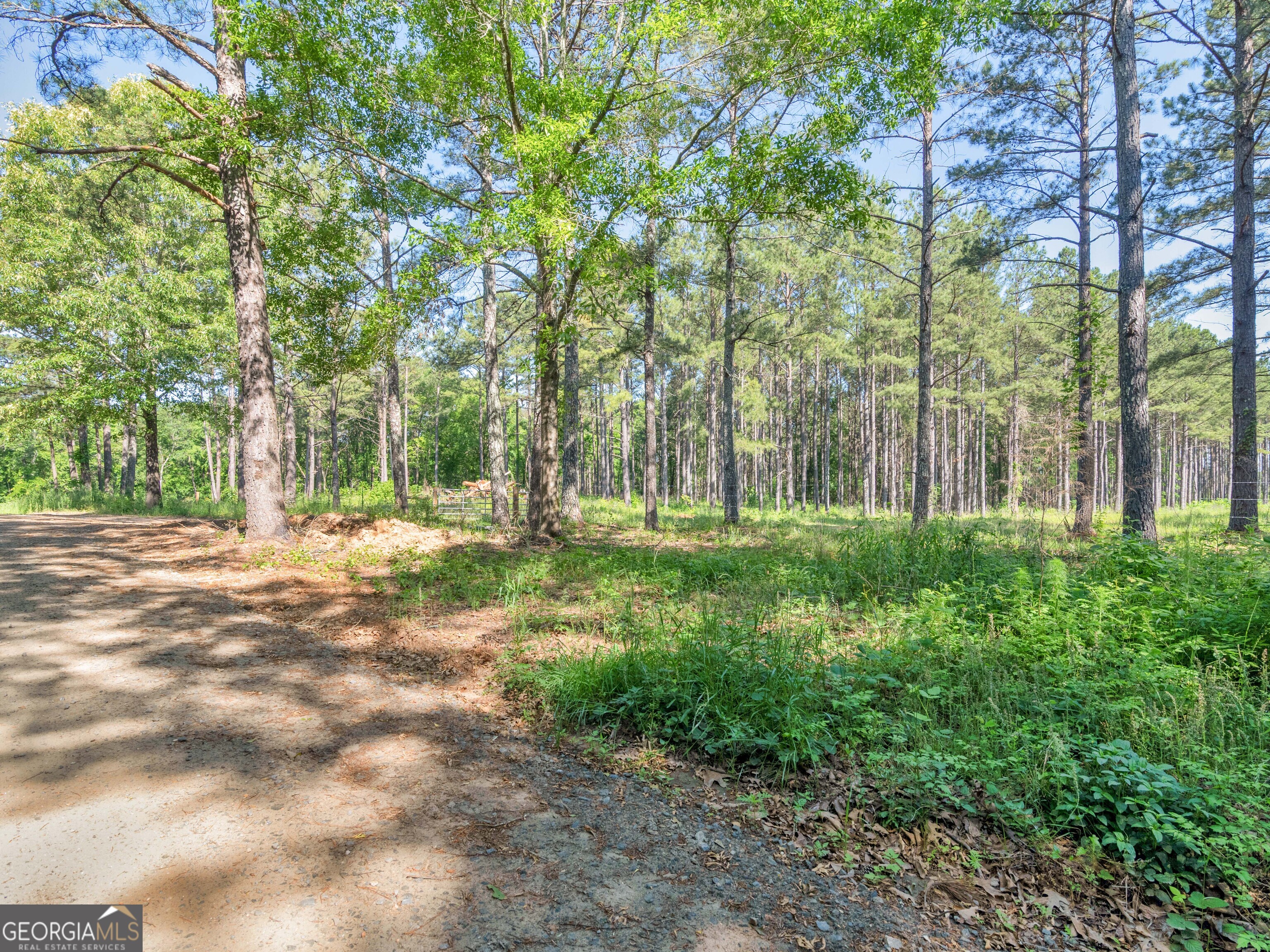 449 Mcmullen Road Forsyth GA 31029