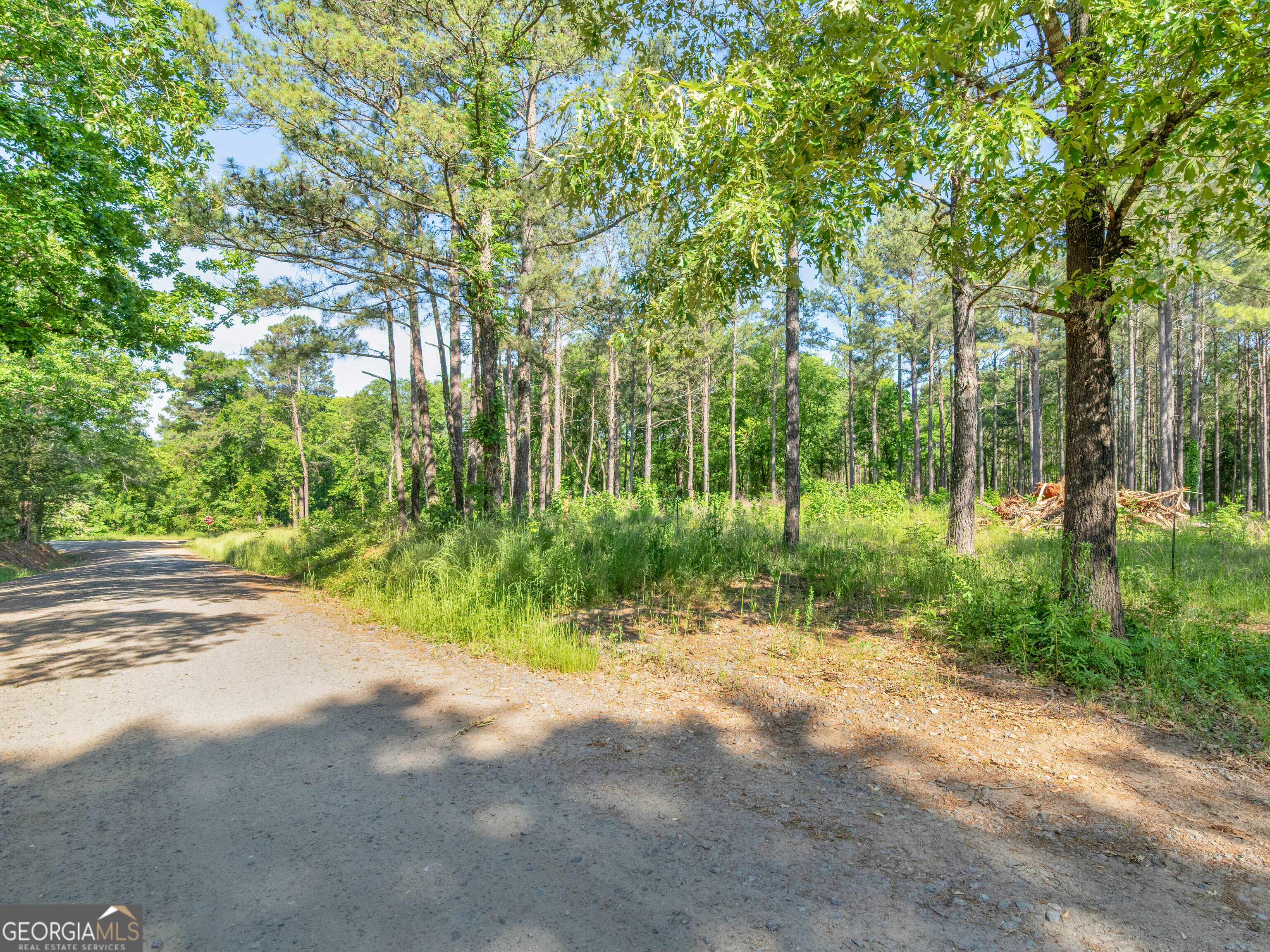 449 Mcmullen Road Forsyth GA 31029