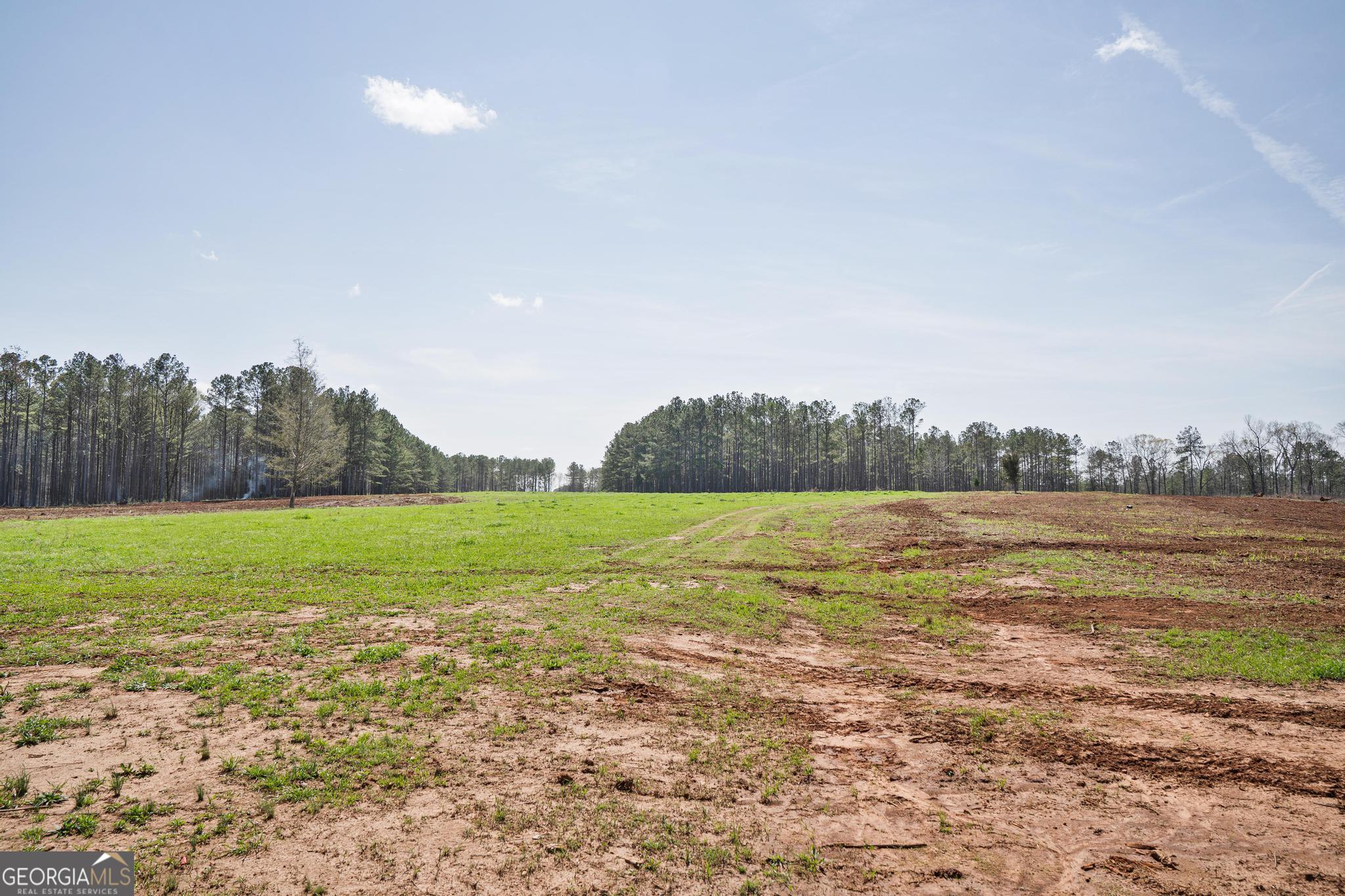 449 Mcmullen Road Forsyth GA 31029