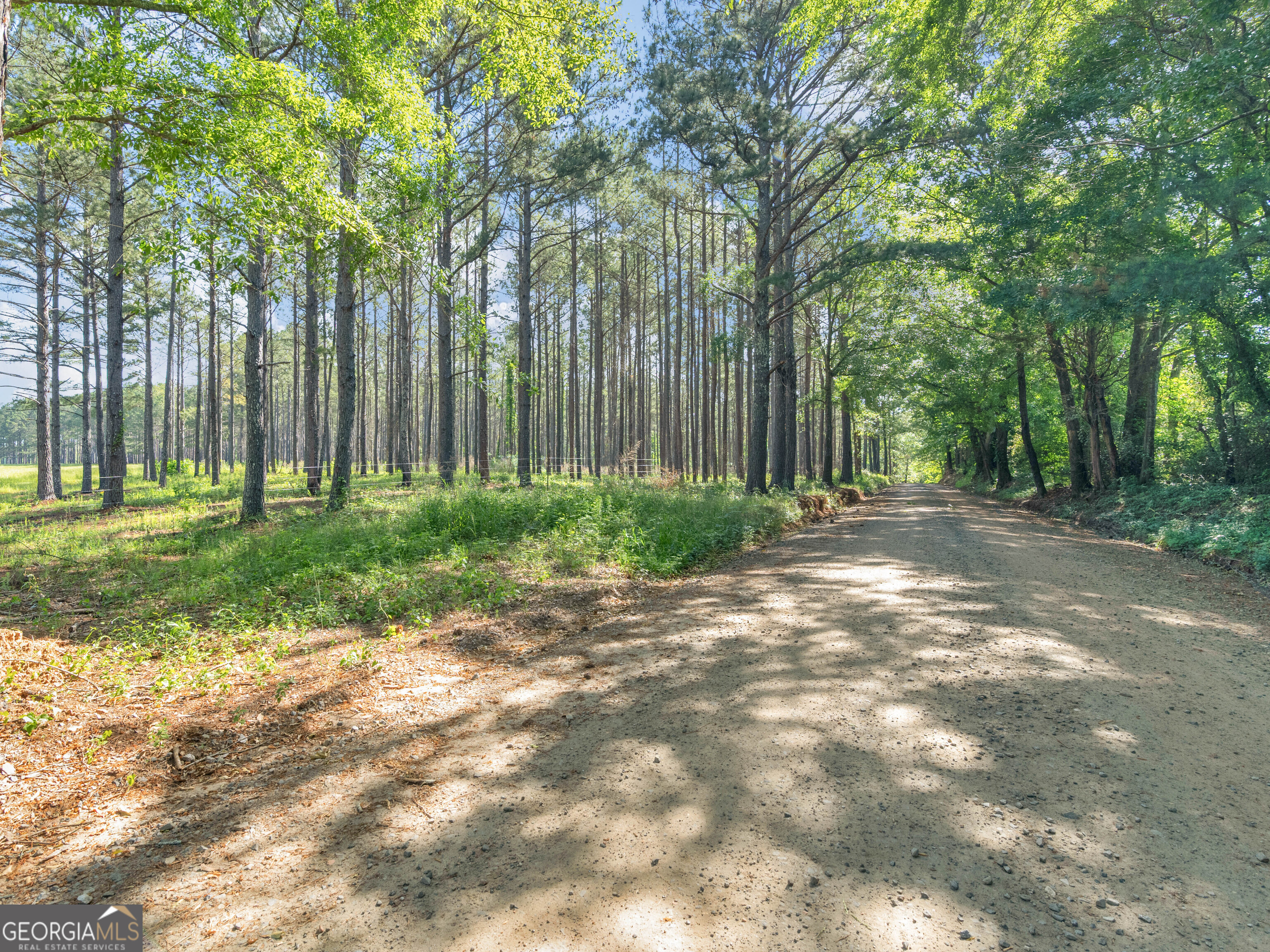 449 Mcmullen Road Forsyth GA 31029