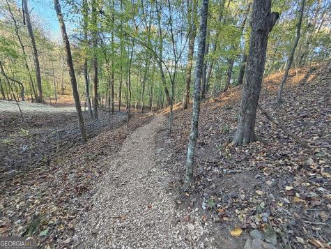 13CD Rainey Valley Lane Morganton GA 30560