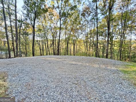 13CD Rainey Valley Lane Morganton GA 30560