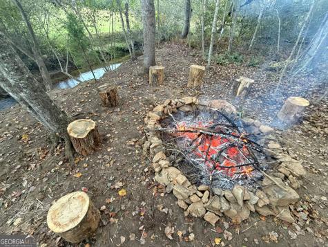 13CD Rainey Valley Lane Morganton GA 30560