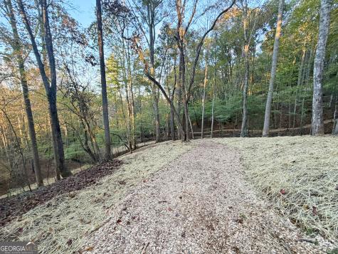 13CD Rainey Valley Lane Morganton GA 30560