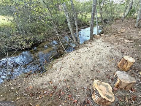 13CD Rainey Valley Lane Morganton GA 30560