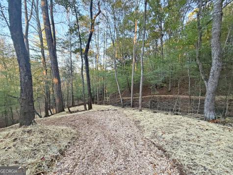 13CD Rainey Valley Lane Morganton GA 30560