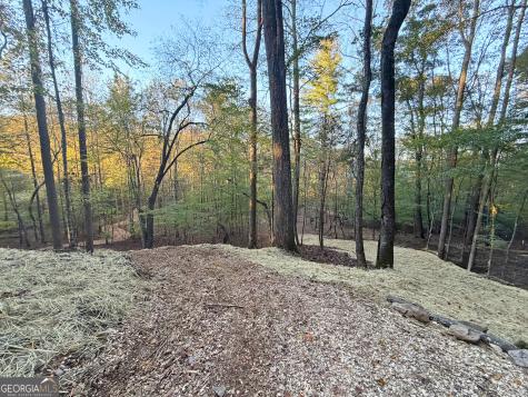 13CD Rainey Valley Lane Morganton GA 30560