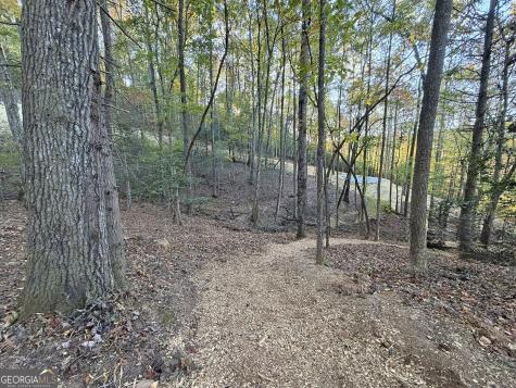 13CD Rainey Valley Lane Morganton GA 30560