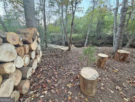 13CD Rainey Valley Lane Morganton GA 30560