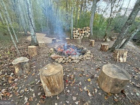 13CD Rainey Valley Lane Morganton GA 30560