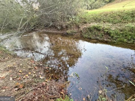 13CD Rainey Valley Lane Morganton GA 30560