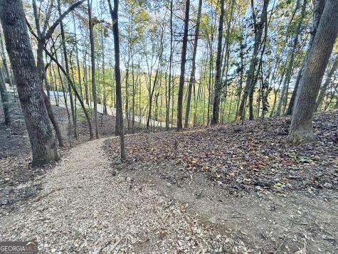 13CD Rainey Valley Lane Morganton GA 30560