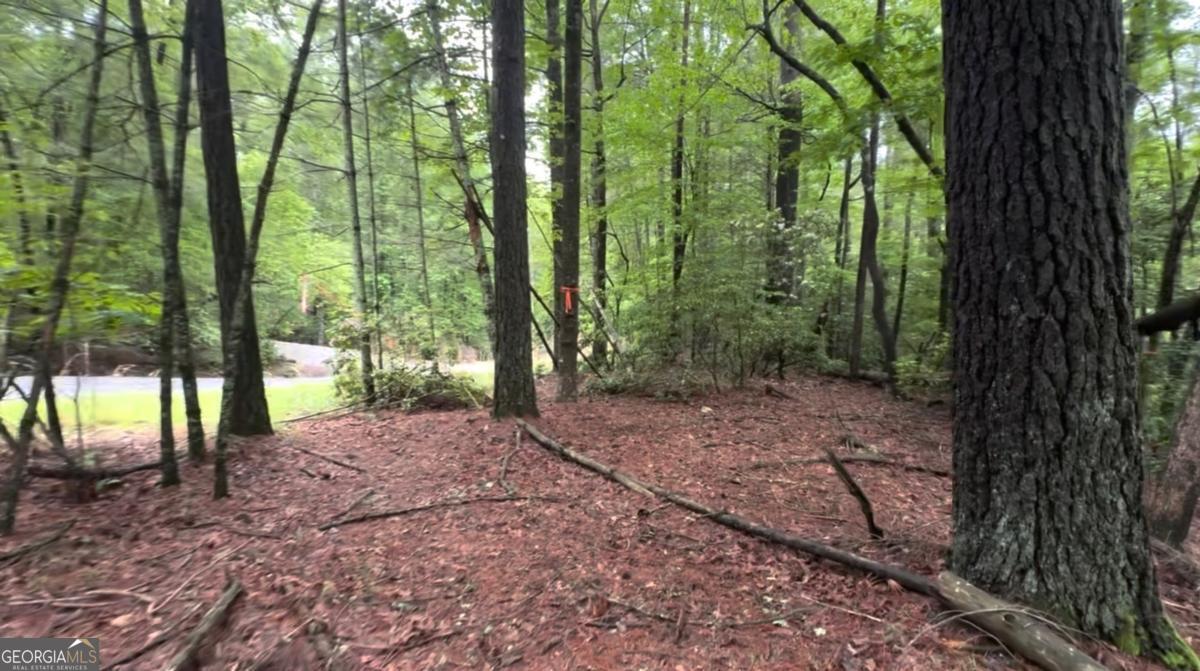 928 Fir Lane Ellijay GA 30540