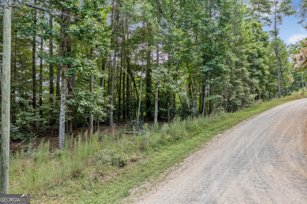 928 Fir Lane Ellijay GA 30540