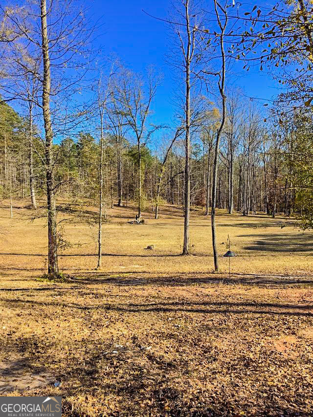 262 Nelms Road Fayetteville GA 30215