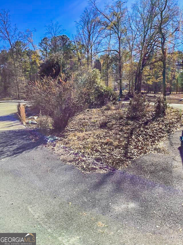 262 Nelms Road Fayetteville GA 30215