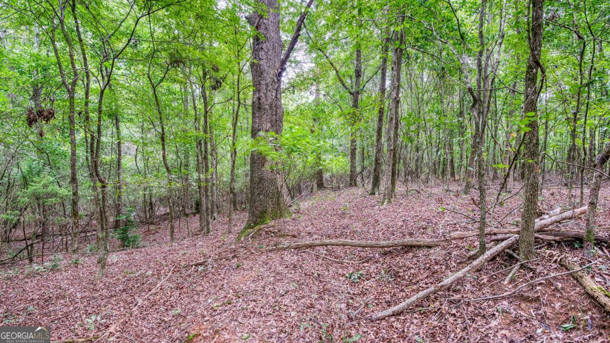 140 Levi Trail Nicholson GA 30565