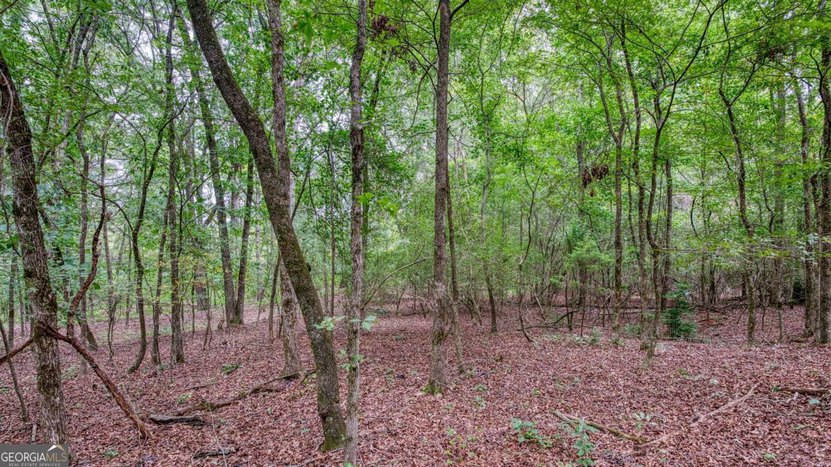 140 Levi Trail Nicholson GA 30565