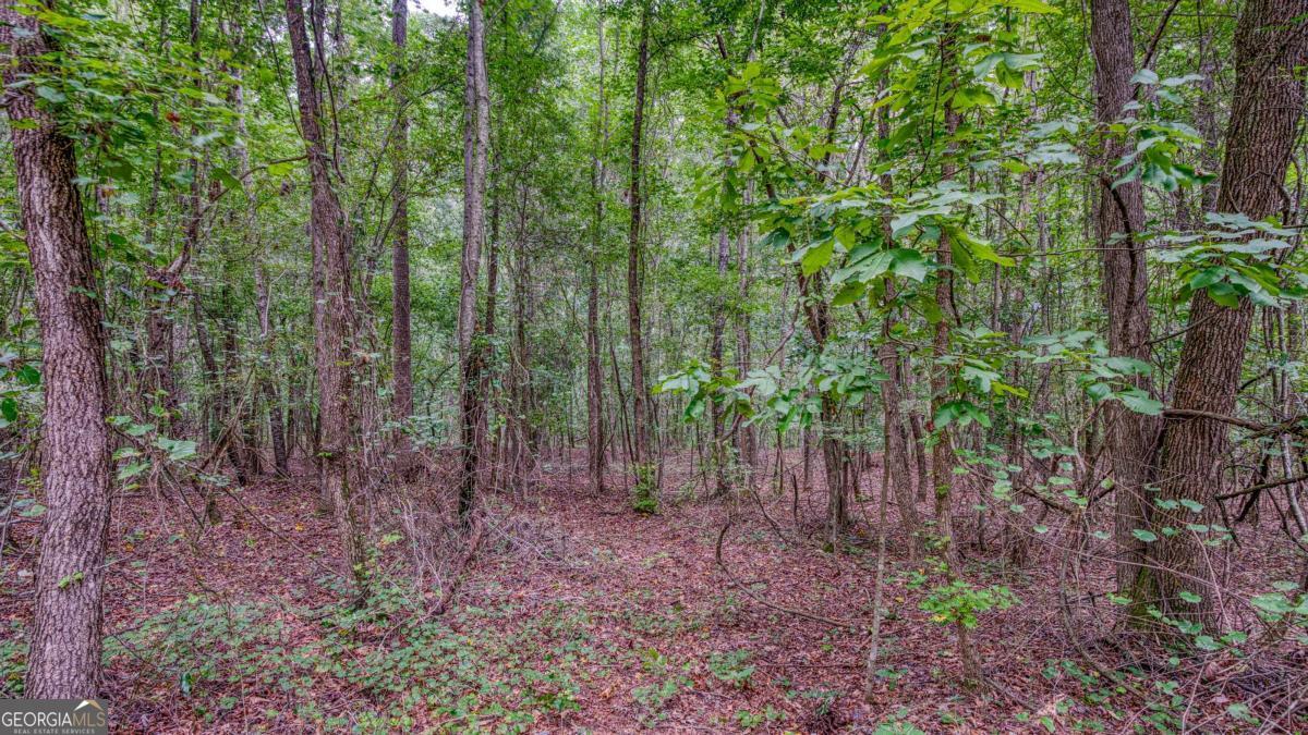 140 Levi Trail Nicholson GA 30565