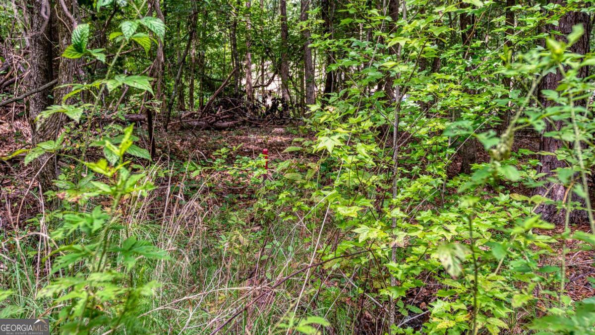 140 Levi Trail Nicholson GA 30565