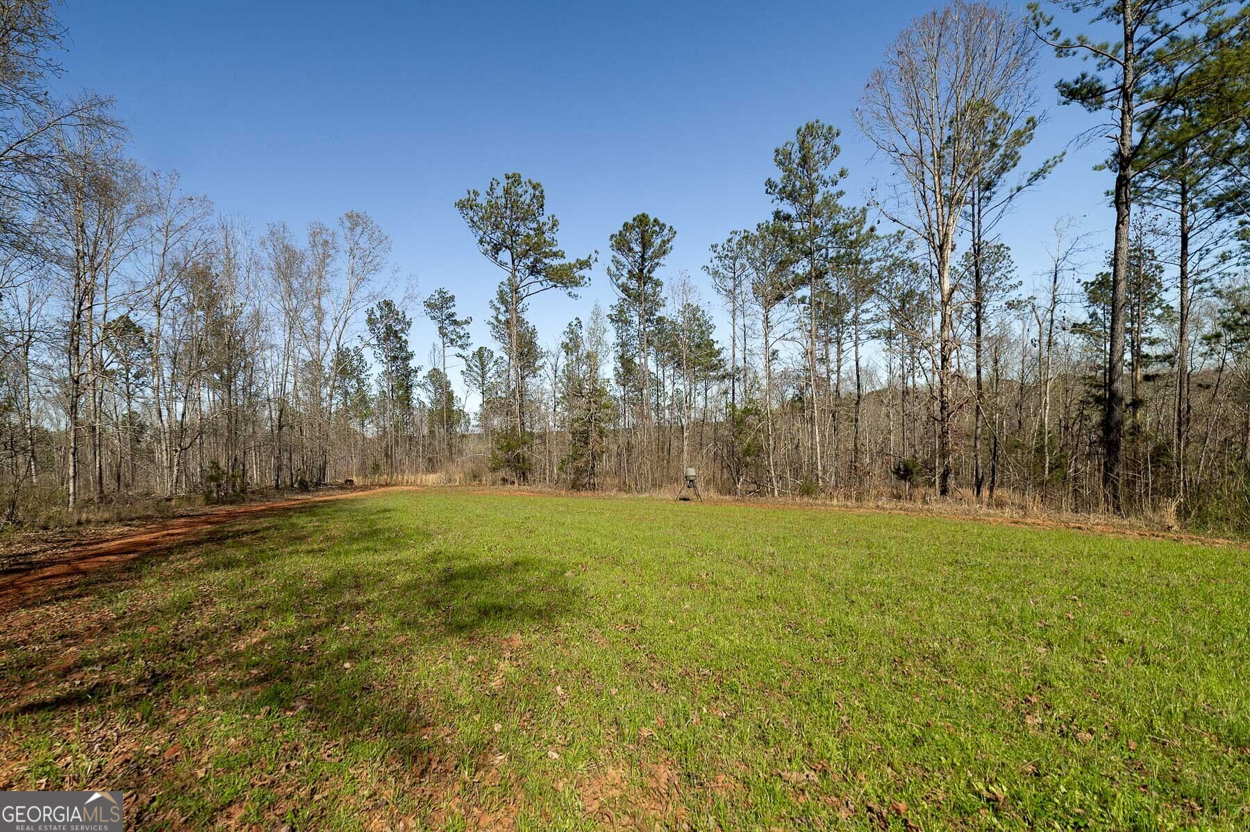 Lot 4 Mayfield Road Flovilla GA 30216