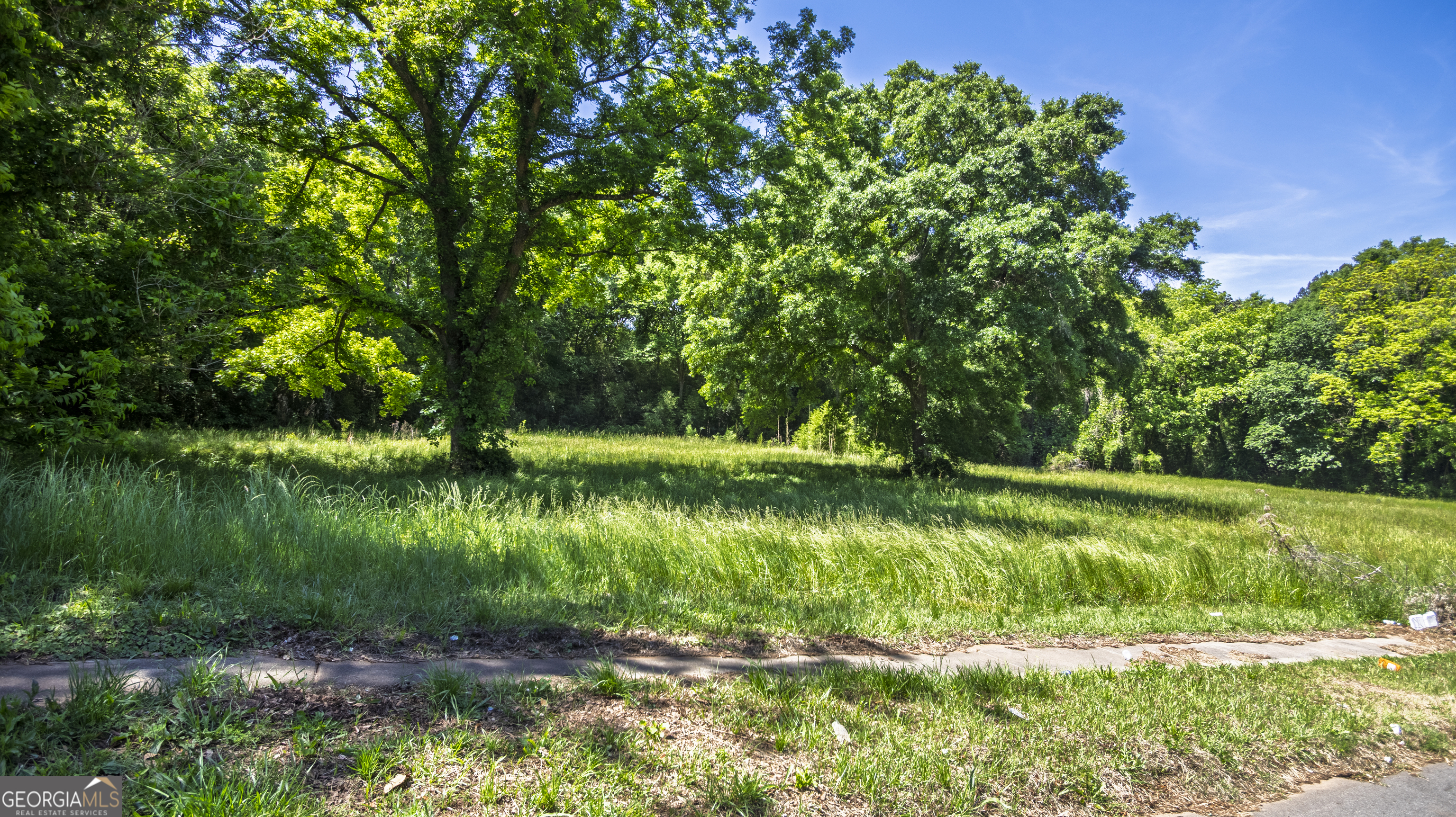 0 Williams Street Lagrange GA 30240