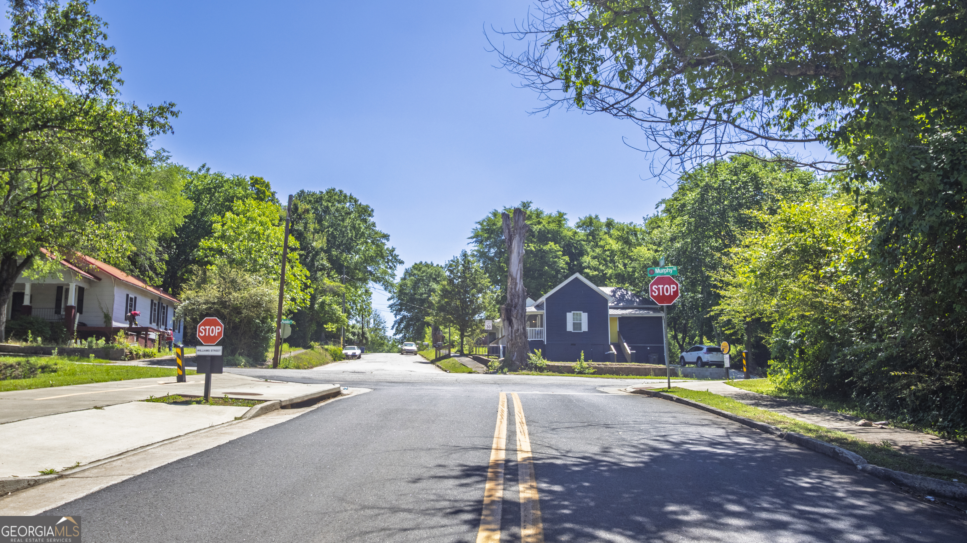 0 Williams Street Lagrange GA 30240
