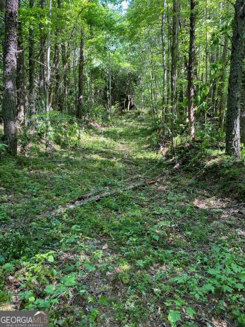 0 Hardman Road Sautee Nacoochee GA 30571