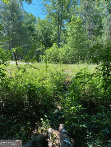 0 Hardman Road Sautee Nacoochee GA 30571