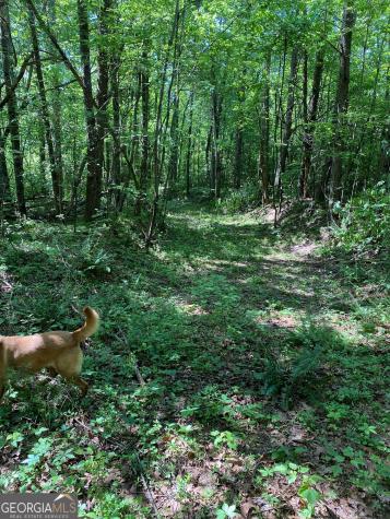 0 Hardman Road Sautee Nacoochee GA 30571