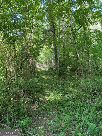 0 Hardman Road Sautee Nacoochee GA 30571