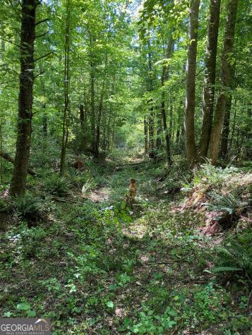 0 Hardman Road Sautee Nacoochee GA 30571