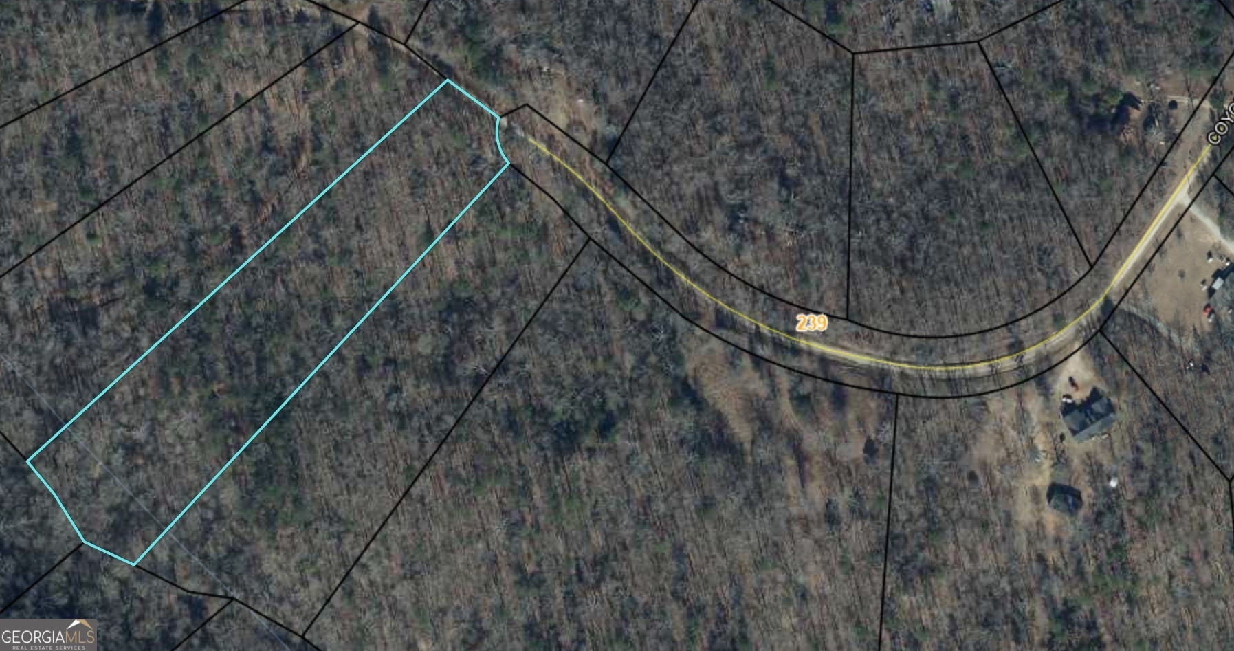 162 Coyote Trail Waco GA 30182