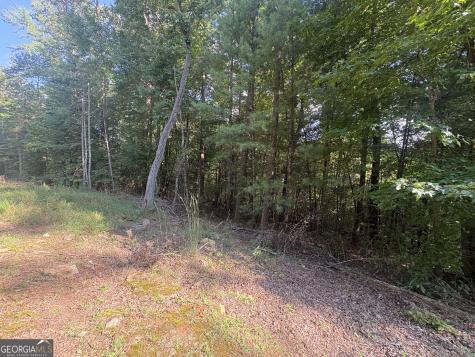 000 Macedonia Church Road Blue Ridge GA 30513