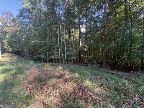 000 Macedonia Church Road Blue Ridge GA 30513