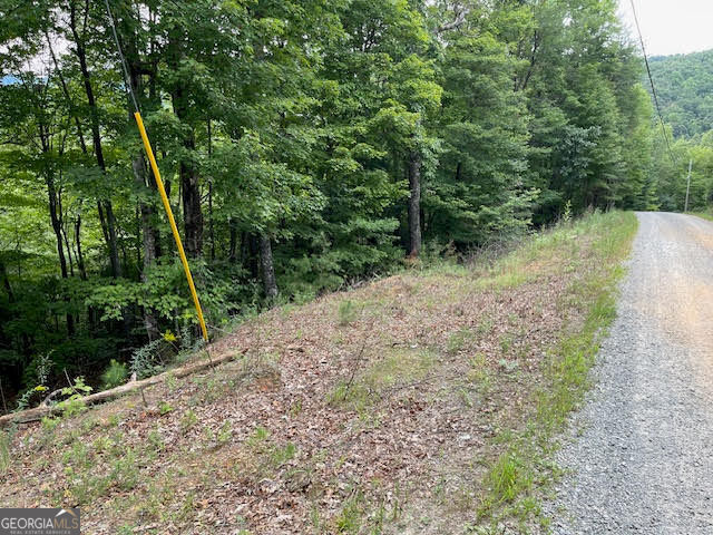17 Amy Creek Circle Ellijay GA 30540