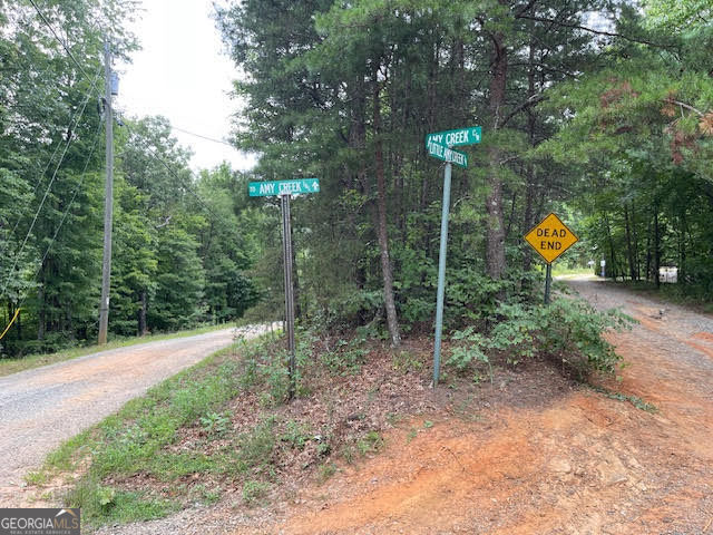 17 Amy Creek Circle Ellijay GA 30540