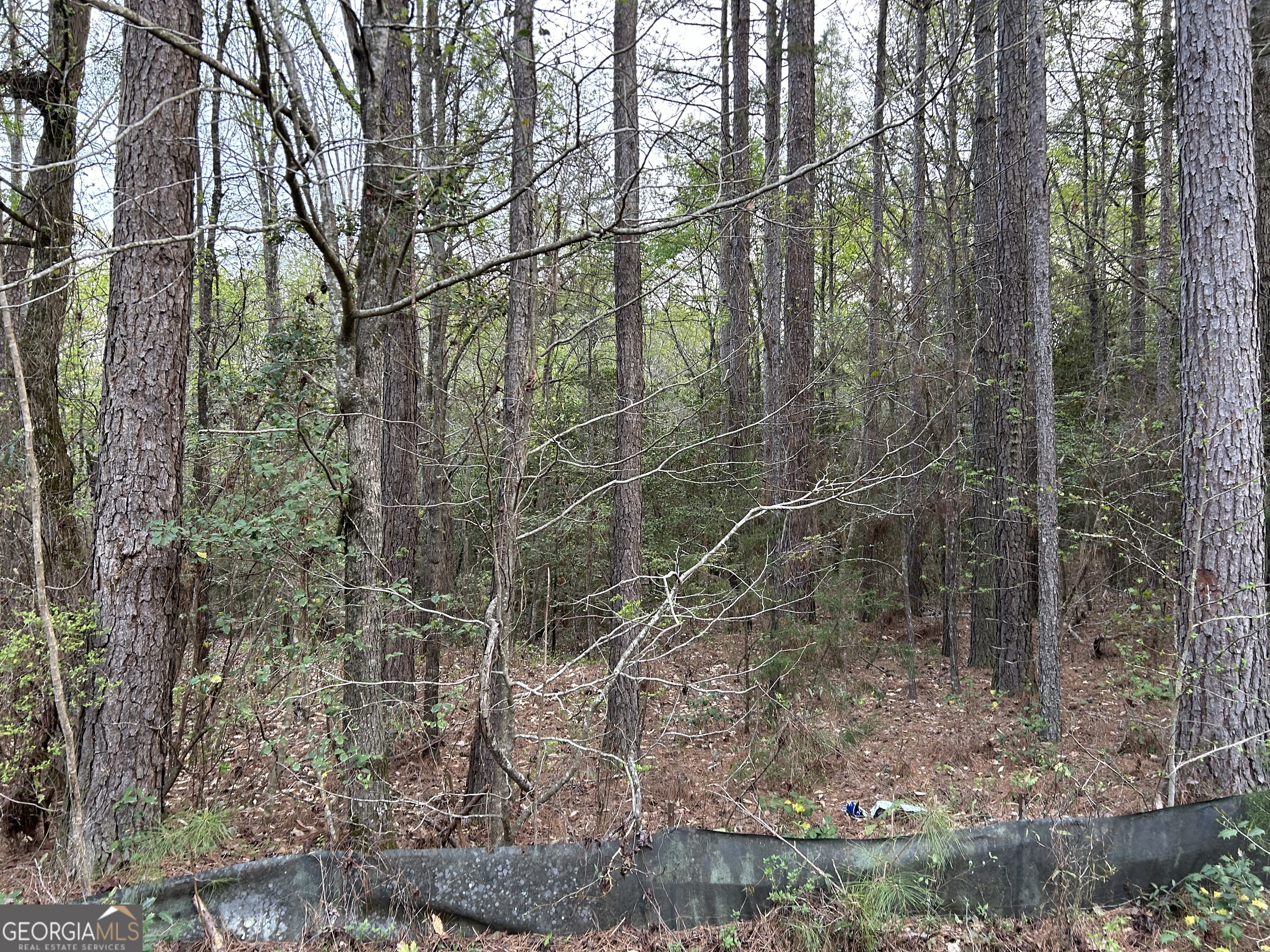 0 Panther Point Elberton GA 30635