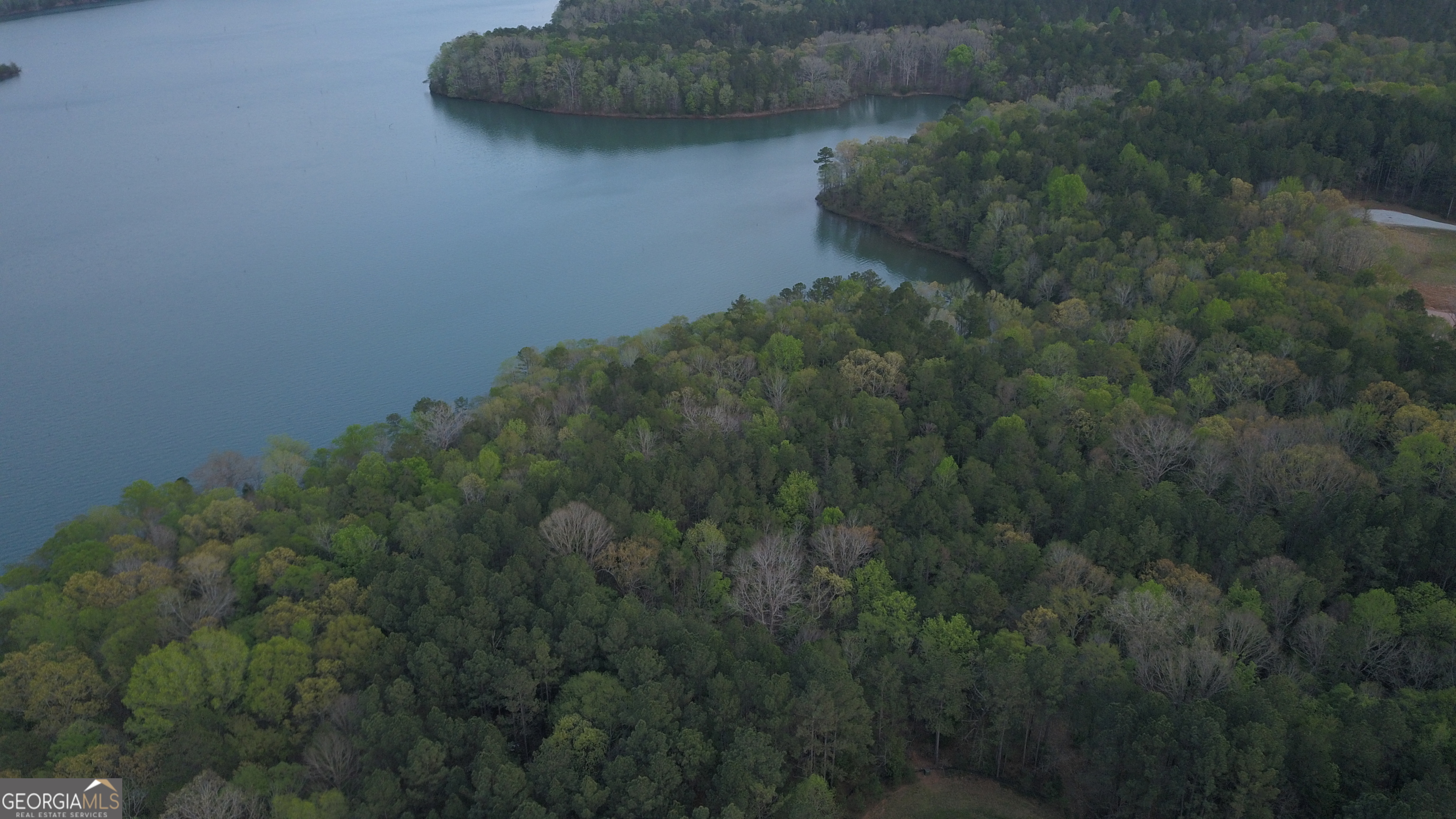 0 Panther Point Elberton GA 30635