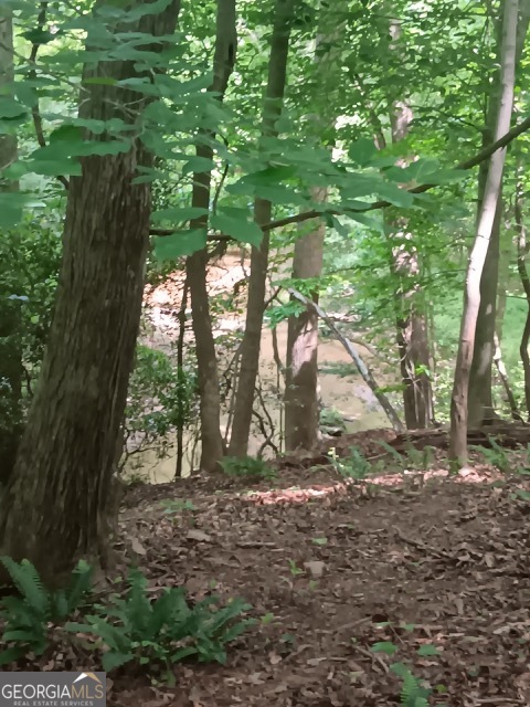 0 Pulliam Mill Road Dewy Rose GA 30634