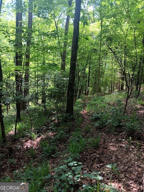 0 Pulliam Mill Road Dewy Rose GA 30634