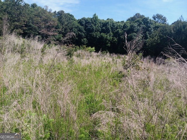 0 Pulliam Mill Road Dewy Rose GA 30634