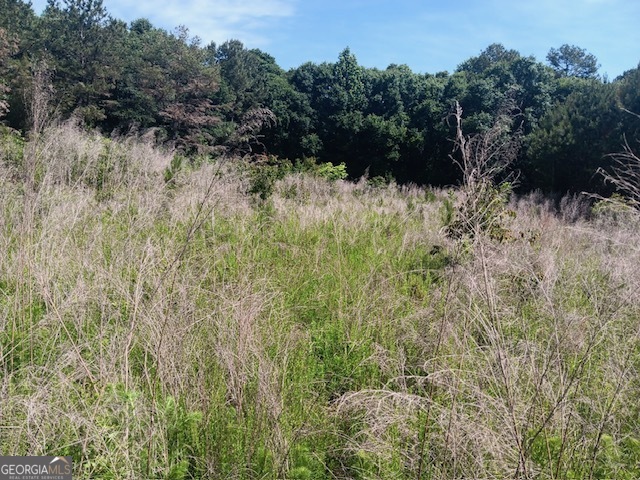 0 Pulliam Mill Road Dewy Rose GA 30634