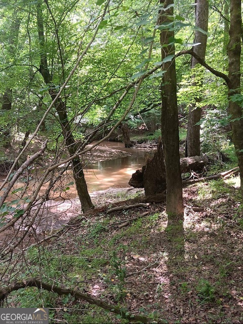 0 Pulliam Mill Road Dewy Rose GA 30634