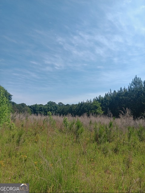 0 Pulliam Mill Road Dewy Rose GA 30634