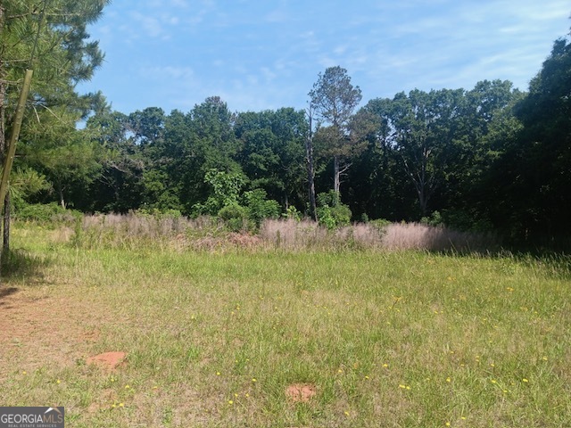 0 Pulliam Mill Road Dewy Rose GA 30634