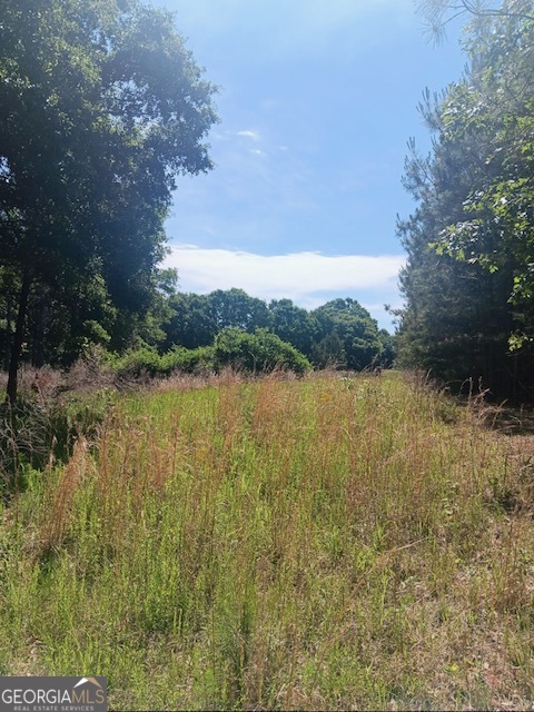 0 Pulliam Mill Road Dewy Rose GA 30634