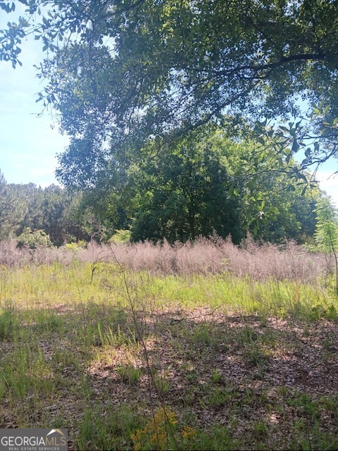 0 Pulliam Mill Road Dewy Rose GA 30634